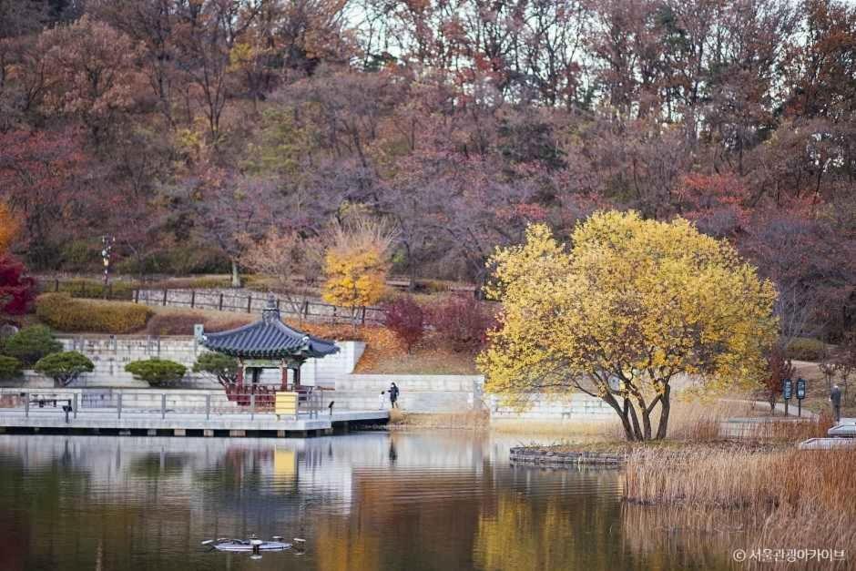 At Miasageori #up To 6 People #subway 2 Min #airport Bus 2 Min #dongdaemun 10 Min #myeongdong 15 Min #seoul Station 20 Min #gyeongbokgung Palace, Seongsu, Hongdae 25 Min #itaewon 30 Min #gangnam 40 Min Apartment *